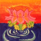 sophia-lotus