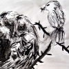 alexandras-bird_400