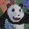olivivias-panda
